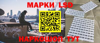 прущие грибы Бузулук
