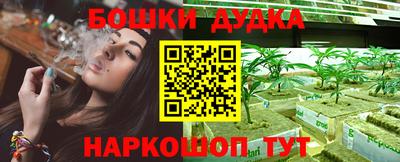 гашик Будённовск