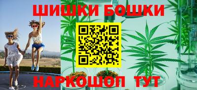 гашик Будённовск