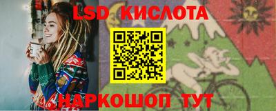 гашик Будённовск
