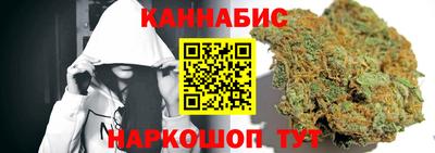 гашик Будённовск