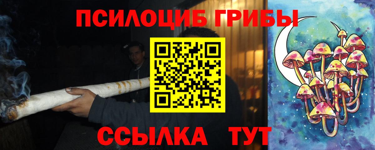 Михайловка  Псилоцибиновые грибы Psilocybine cubensis  Вход с VPN 