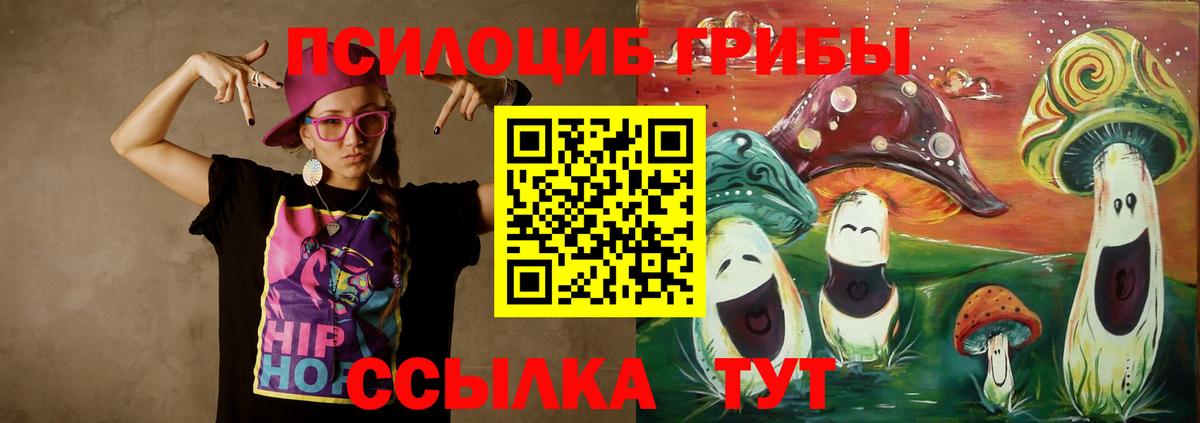Псилоцибиновые грибы мицелий Михайловка