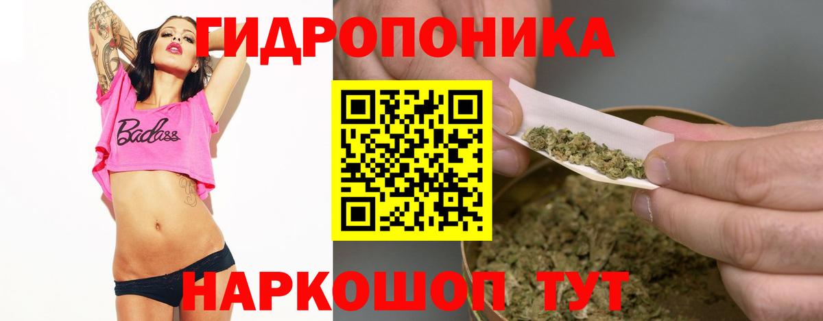 Каннабис планчик Михайловка
