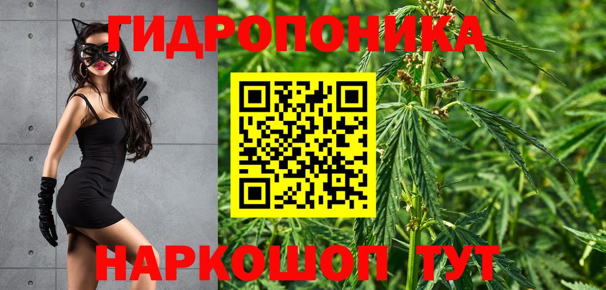 Каннабис Bruce Banner  Конопля OG Kush  Вход с VPN  Михайловка  Шишки марихуана тримм 